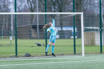 Bild 144 - wBJ HSV - F VfL Jesteburg : Ergebnis: 6:1